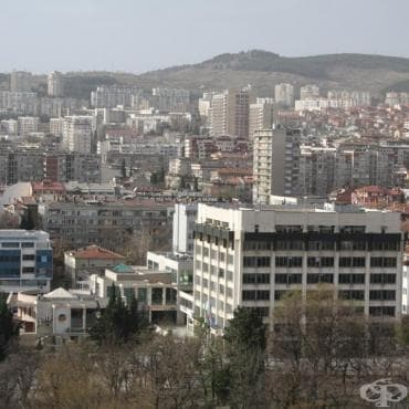 И в община Стара Загора затягат мерките срещу африканската чума по свинете - изображение